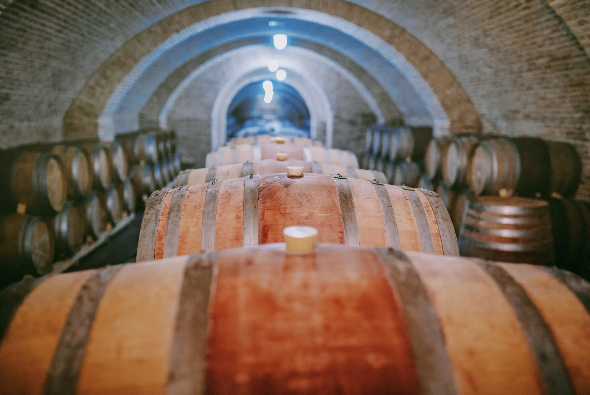 Oak barrels under the brick vaults of the Château Mukhrani cellar