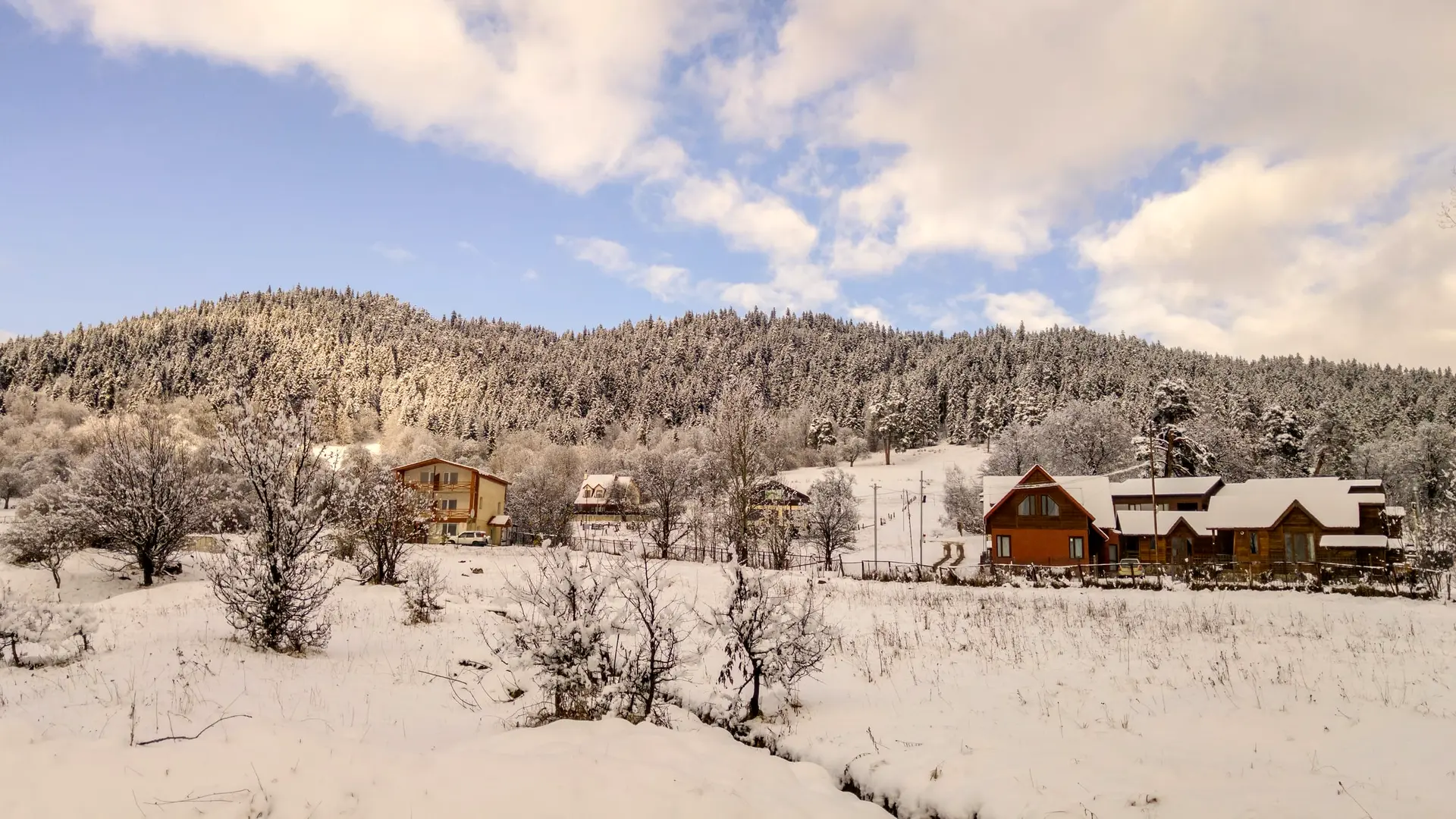 Chalets in Bakuriani under fresh snow, with the pine forest behind