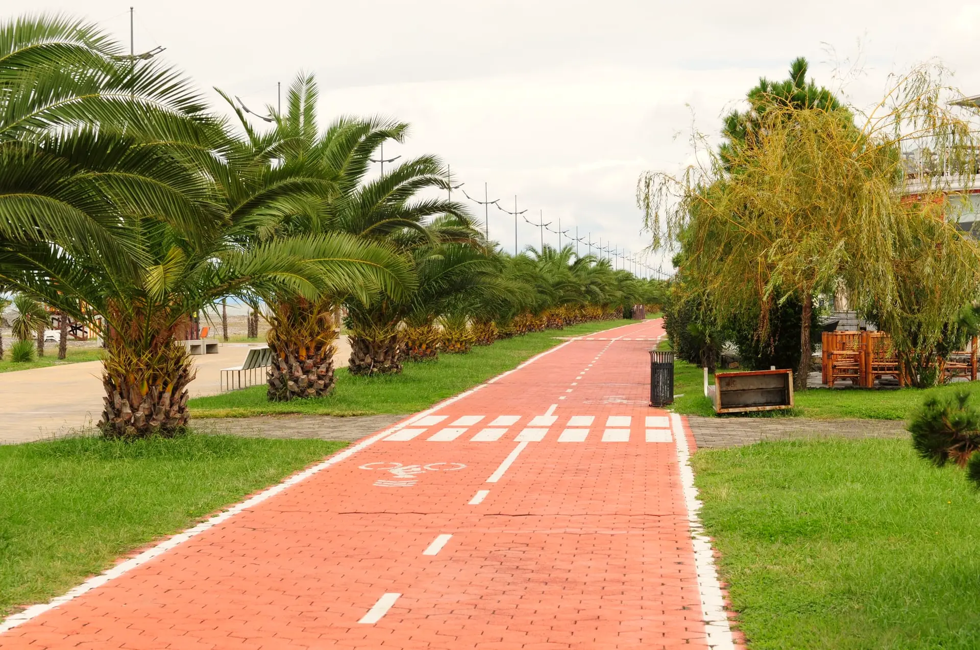 Cycle path and palm trees on the Batumi Boulevard